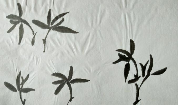 竹兰之象征（探寻竹子与兰花的寓意与美学）