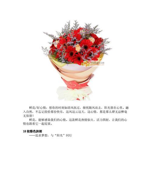 扶郎花的花语与寓意（探寻扶郎花的神秘之意）