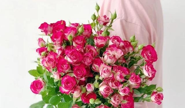 红丁香花语（探索红丁香花的美丽语言）