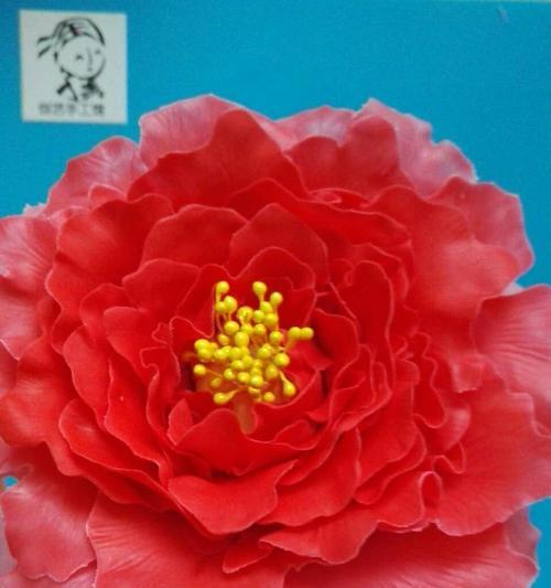 红牡丹的寓意与象征（探索牡丹美学的奥秘）