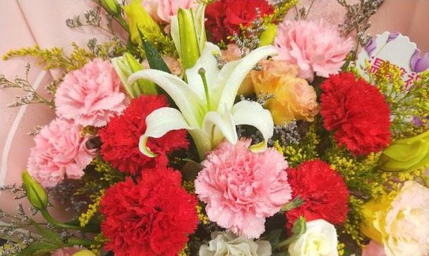 红色康乃馨的花语（传递爱的红色康乃馨）