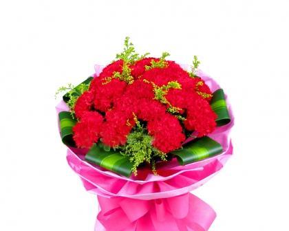 红色康乃馨的花语（传递爱的红色康乃馨）