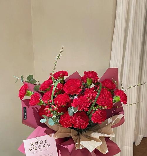 红色康乃馨的花语和寓意（探究红色康乃馨所传递的情感和象征）