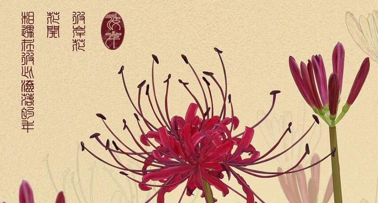 以花语传说（揭秘雁来红的花语及其象征意义）