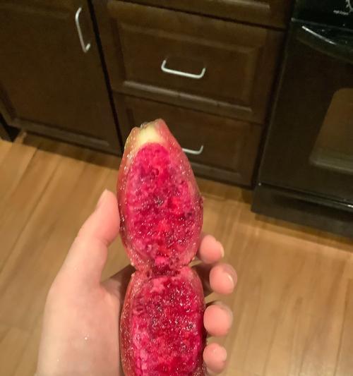 探究仙人球果实的营养价值及食用方法（从营养学角度分析仙人球果实的成分）