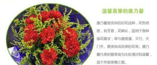 康乃馨花语之黄色激情（康乃馨花语及其象征意义的探索与解读）
