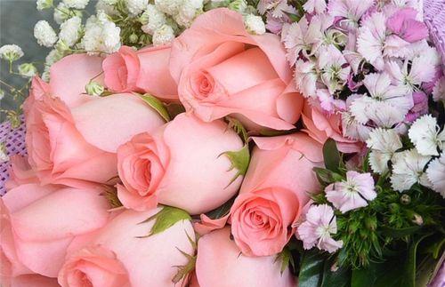 菊花的花语与寓意（菊花寓意浓情蜜意）