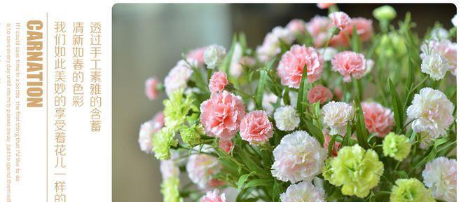康乃馨花的寓意与象征（康乃馨花的深刻内涵和美丽寓意）