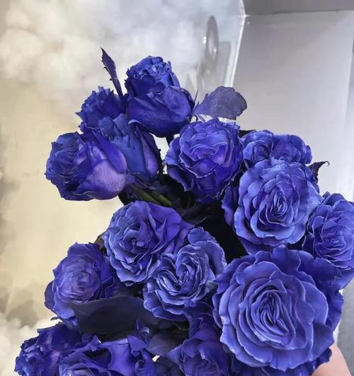 以蓝玫瑰花语传递爱与祝福（探寻蓝玫瑰的隐含含义与象征）