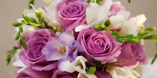爱与浪漫之花语（探寻19朵玫瑰花的神秘花语）