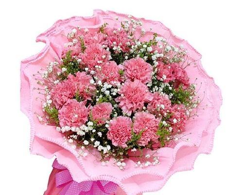 母亲节的康乃馨花语解析（康乃馨花语的深刻内涵与情感表达）
