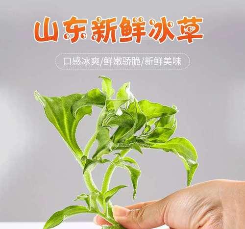 菜花可以生吃吗（营养丰富的菜花也适合生食）
