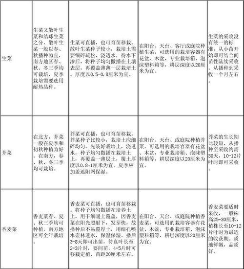 广东菜心种植全攻略（从时间到方法）