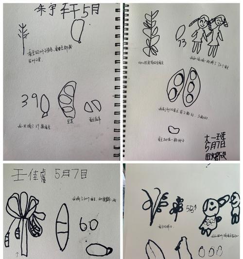 探究蚕豆的生长环境和生长地方条件（从土壤）