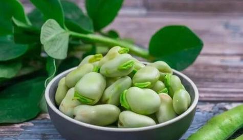 发掘蚕豆的美食文化（探访蚕豆的特产地和独特美味/）