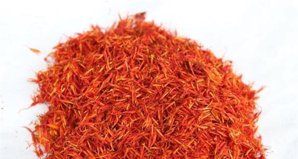 探究藏红花是多年生还是一年生的植物（探究藏红花是多年生还是一年生的植物）