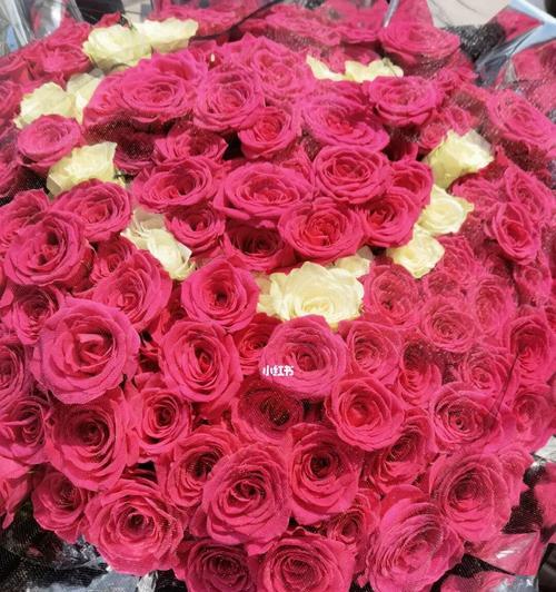 99朵玫瑰花的寓意——爱的深情与永恒（用99朵玫瑰表达你的心意）