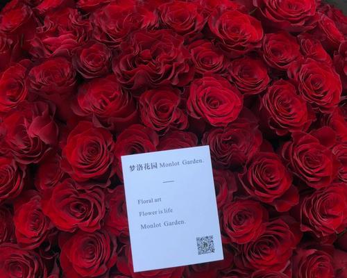 99朵玫瑰花的寓意——爱的深情与永恒（用99朵玫瑰表达你的心意）