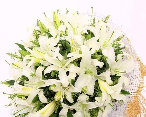白百合花语与其代表意思（纯洁）
