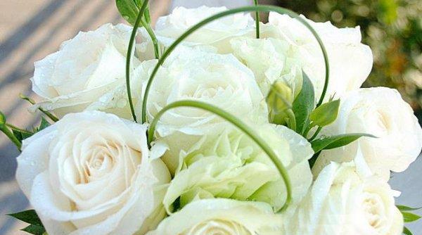 白玫瑰花语的美丽寓意（传递爱与纯洁的代表——白玫瑰花）