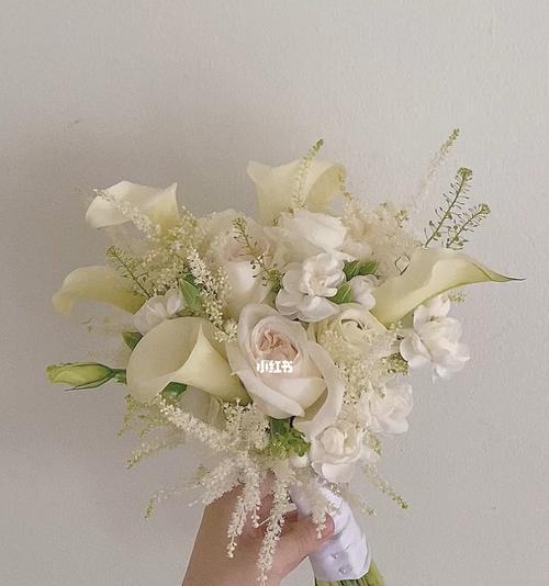 白色马蹄莲的花语——洁白纯净之美（探寻白色马蹄莲的花语和象征意义）