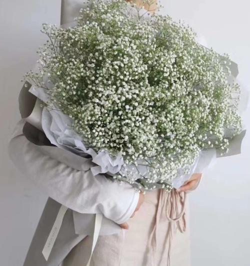 白色满天星的花语（探寻白色满天星的花语之美）