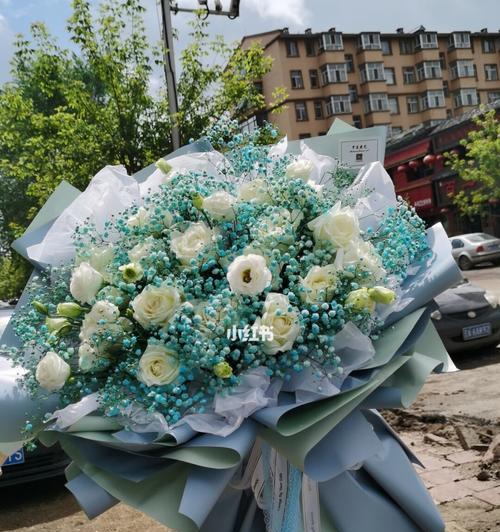 白色满天星花语与寓意（一朵盛开的美丽寓意）