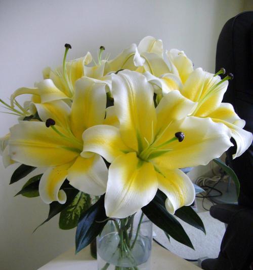 百合（探寻百合花的深层寓意）