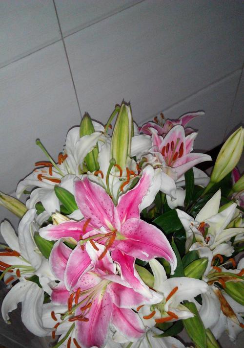 百合（探寻百合花的深层寓意）