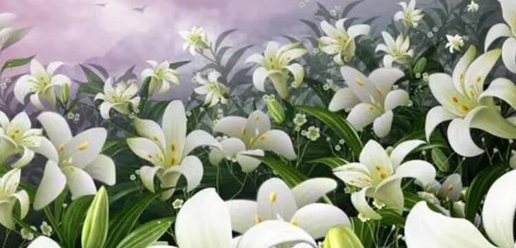 百合花的花语与寓意（探究百合花的含义和象征）