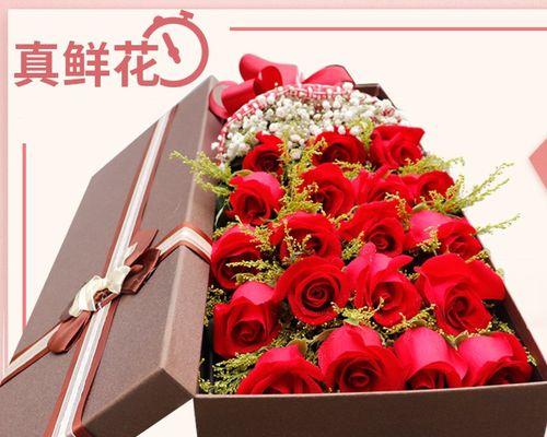 玫瑰花语之美——解读不同玫瑰花的含义与象征（以花开为语）