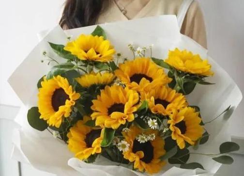 橙色风信子的花语（橙色风信子）