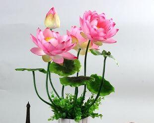 如何选择适合供佛的花（花是祈求福祉的载体）
