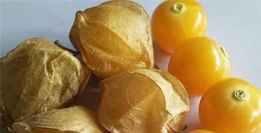 姑娘果（果实丰满的时间节点与收获技巧）