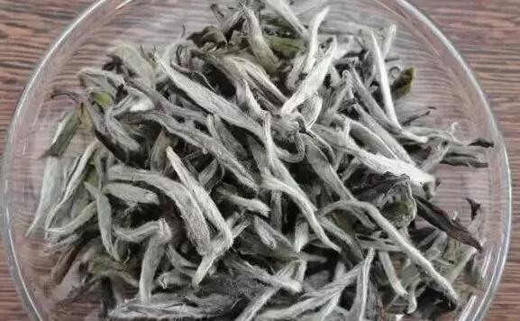 古树白茶与福鼎白茶的异同（品味经典和传承之道）