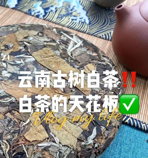 古树白茶与福鼎白茶的异同（品味经典和传承之道）