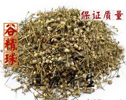 谷精草的神奇功效（探索谷精草的作用和健康益处）