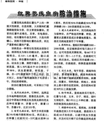 谷子病虫害防治技术与方法措施（打造健康高产谷子田——谷子病虫害防治实用指南）