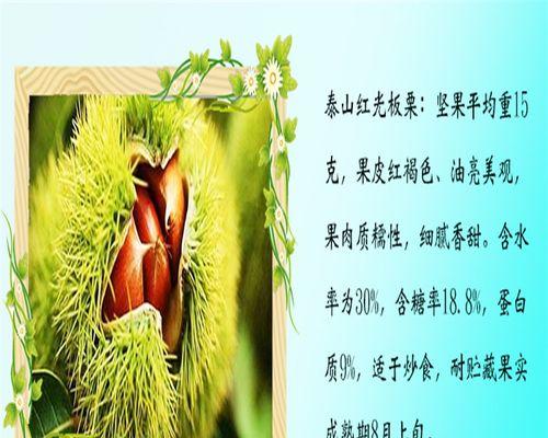 瓜栗的种植与养护技巧（打造丰收的瓜栗园）
