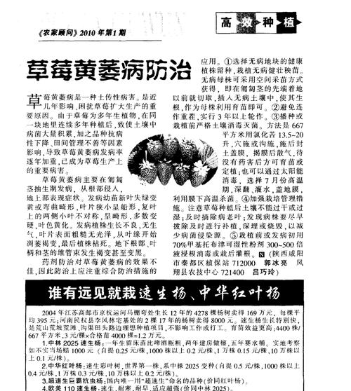 瓜蒌炭疽病——预防和治疗的综合措施（炭疽病的发病原因）