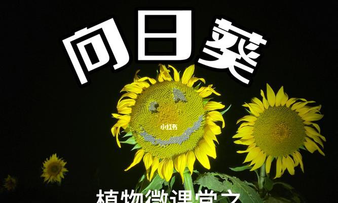 瓜子是被子植物吗（解读瓜子的植物学特征）