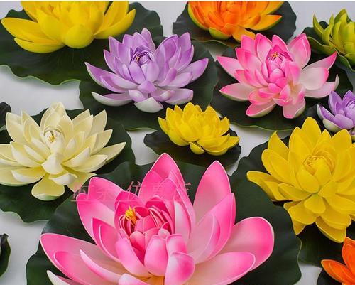 观音佛前适合养什么花？——佛前花的种类与意义