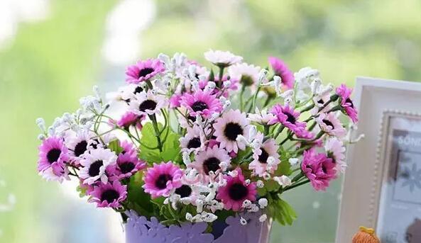送老师什么花最合适？花语有哪些讲究？