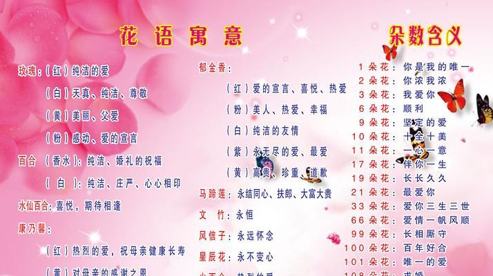 太阳花代表什么？太阳花的寓意有哪些常见问题解答？