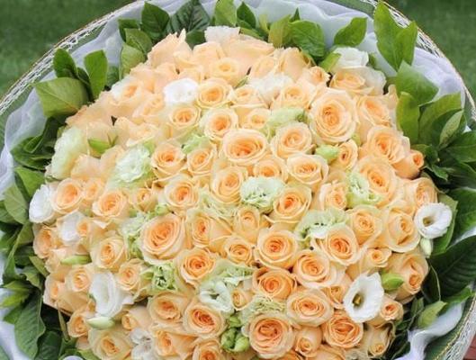 香槟玫瑰代表什么意思？花语和象征意义是什么？