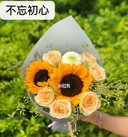 向日葵花语代表什么？向日葵寓意的常见问题解答？