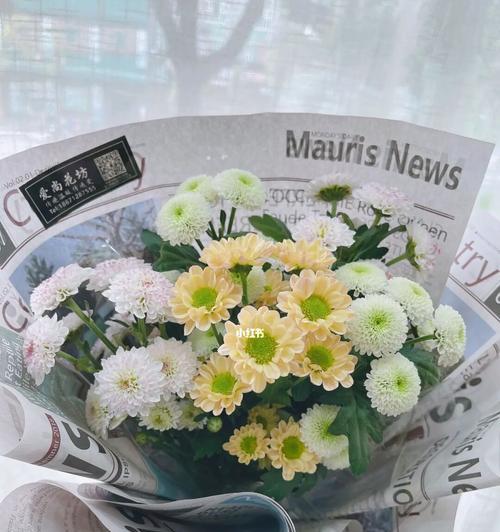 小邹菊花语代表什么含义？关于小邹菊花的传说有哪些？