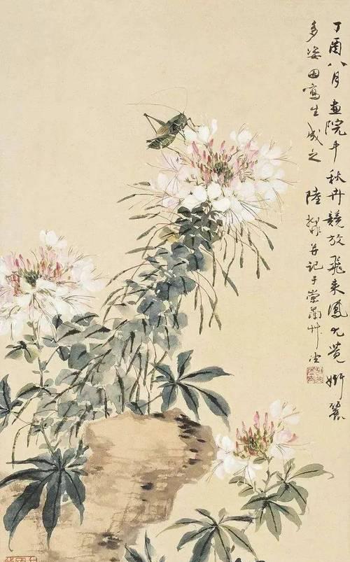 笑靥花的花语是什么？如何用它表达开朗的心情？
