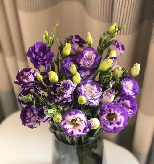 洋桔梗花花语是什么？如何表达爱意和祝福？