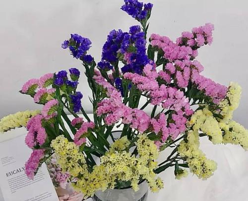 永生花的花语是什么？它有哪些特别的寓意？